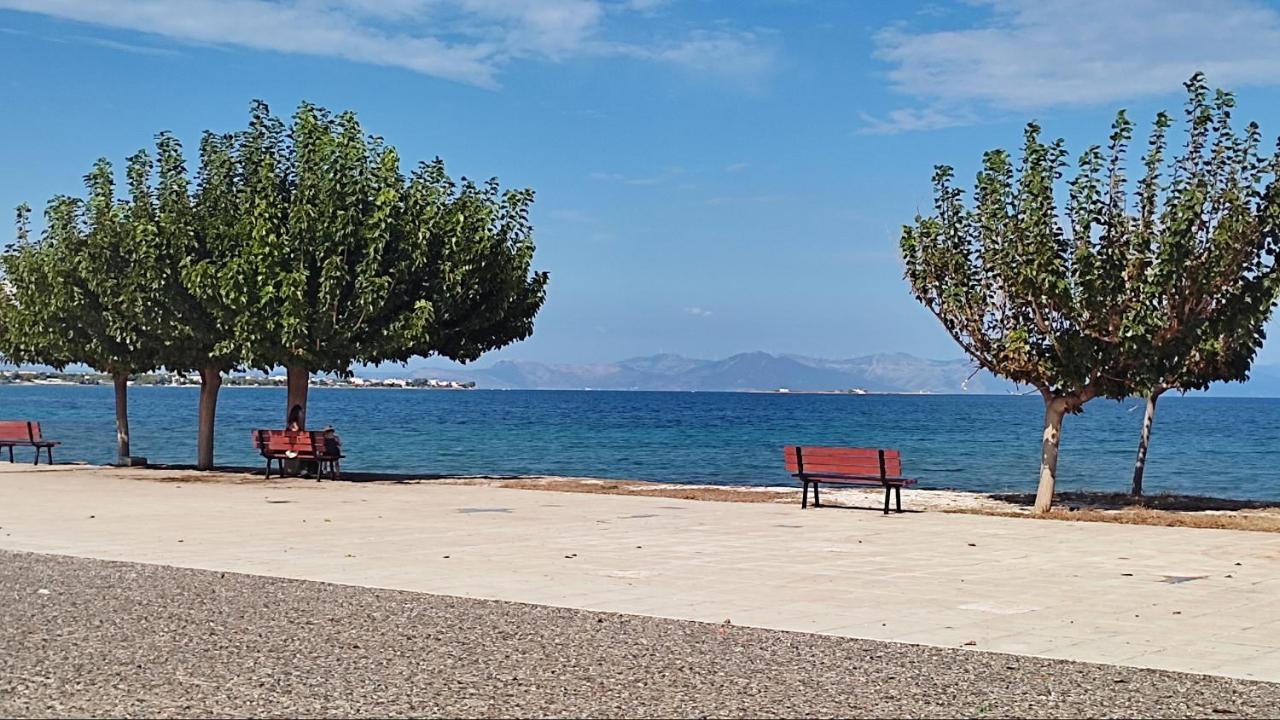 Apartamento Beautiful Choice - Near Athens Airport - 50M From The Sea - Iq+ Artemida  Exterior foto